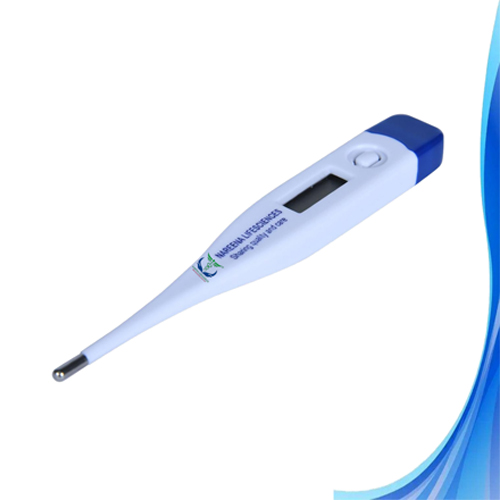 Digital Thermometer Manufacturers in Jhajjar